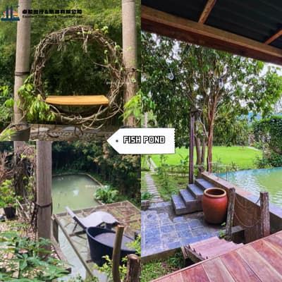 Fish Pond - Misty Mountain